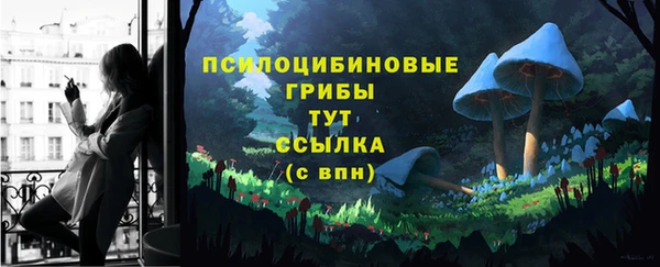 apvp Армянск