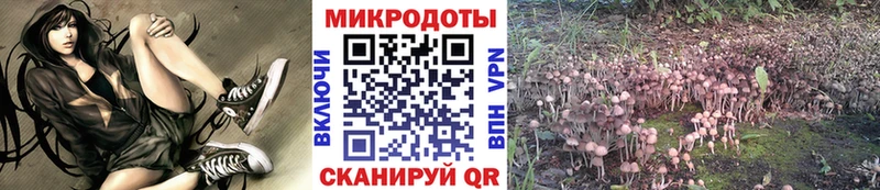 маркетплейс клад Суджа Псилоцибиновые грибы Psilocybe