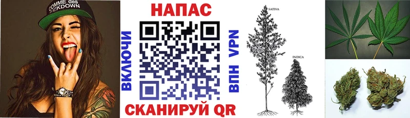 Канабис Bruce Banner  Суджа 